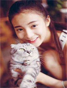 小大夫 电视剧