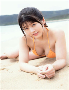 向风而行电视剧免费播放19集