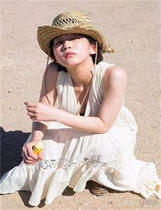 电视剧野鸭子全集在线观看