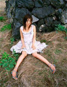 野鸭子电视剧全集在线观看